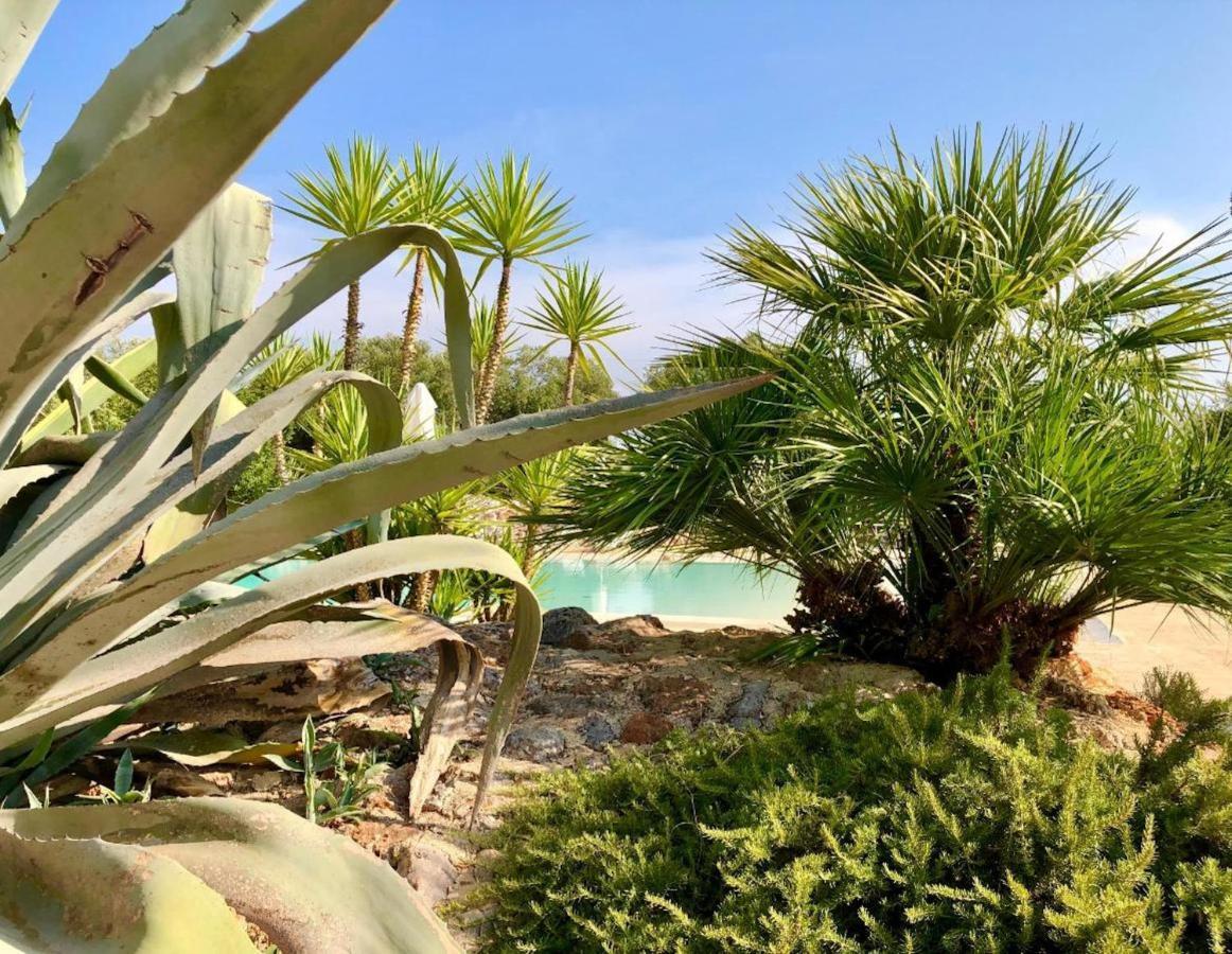 I Love Trullo - Country Boutique Apartments - Villa Laura أوستوني المظهر الخارجي الصورة