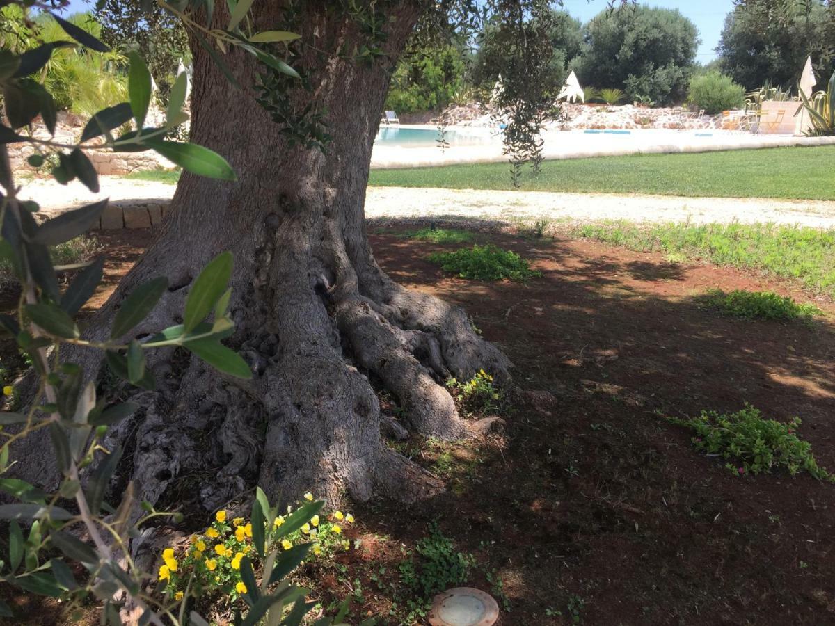 I Love Trullo - Country Boutique Apartments - Villa Laura أوستوني المظهر الخارجي الصورة